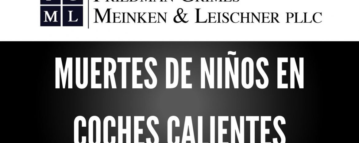 Muertes De Niños en Coches Calientes