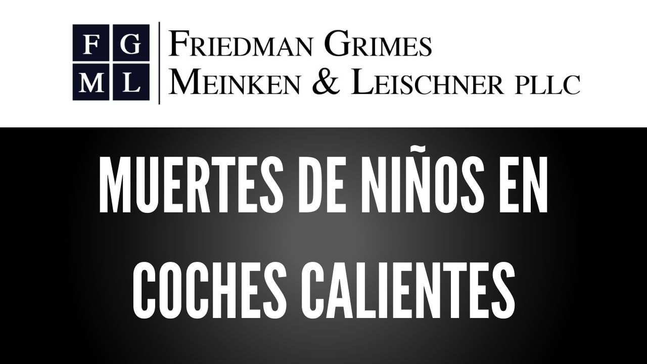 Muertes De Niños en Coches Calientes